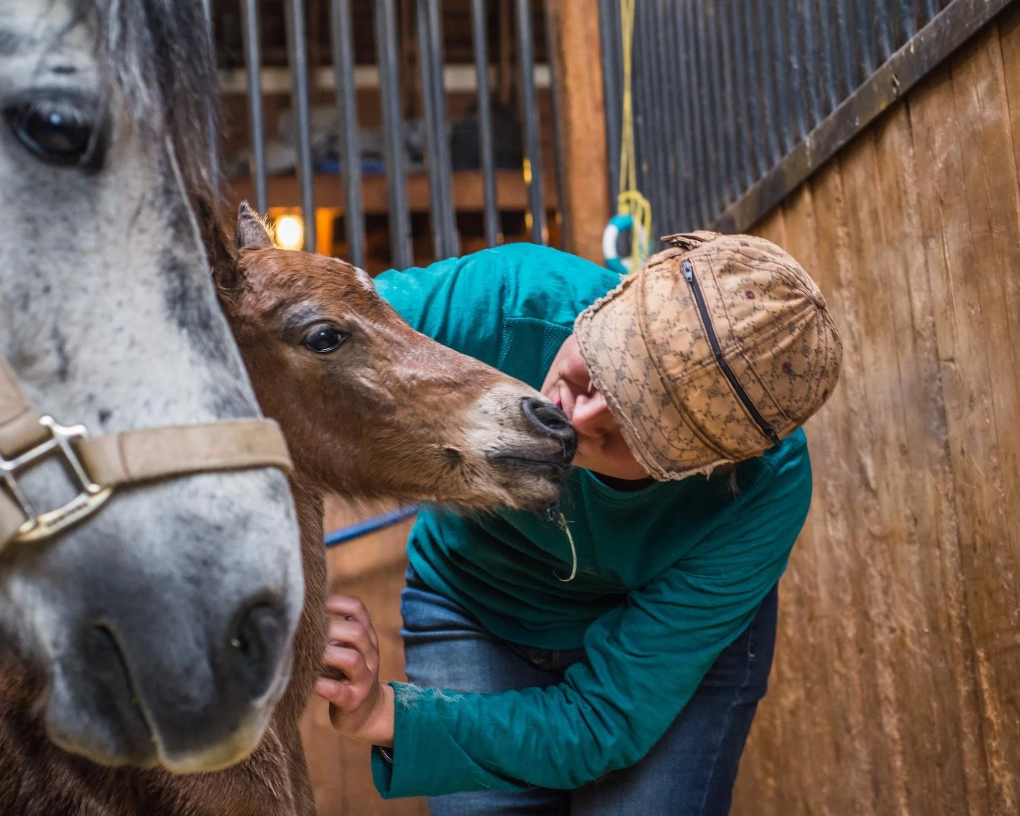 The Neurobiology of the Age Old Question "Why Horses?"  (USOTC Seminar Part 1)