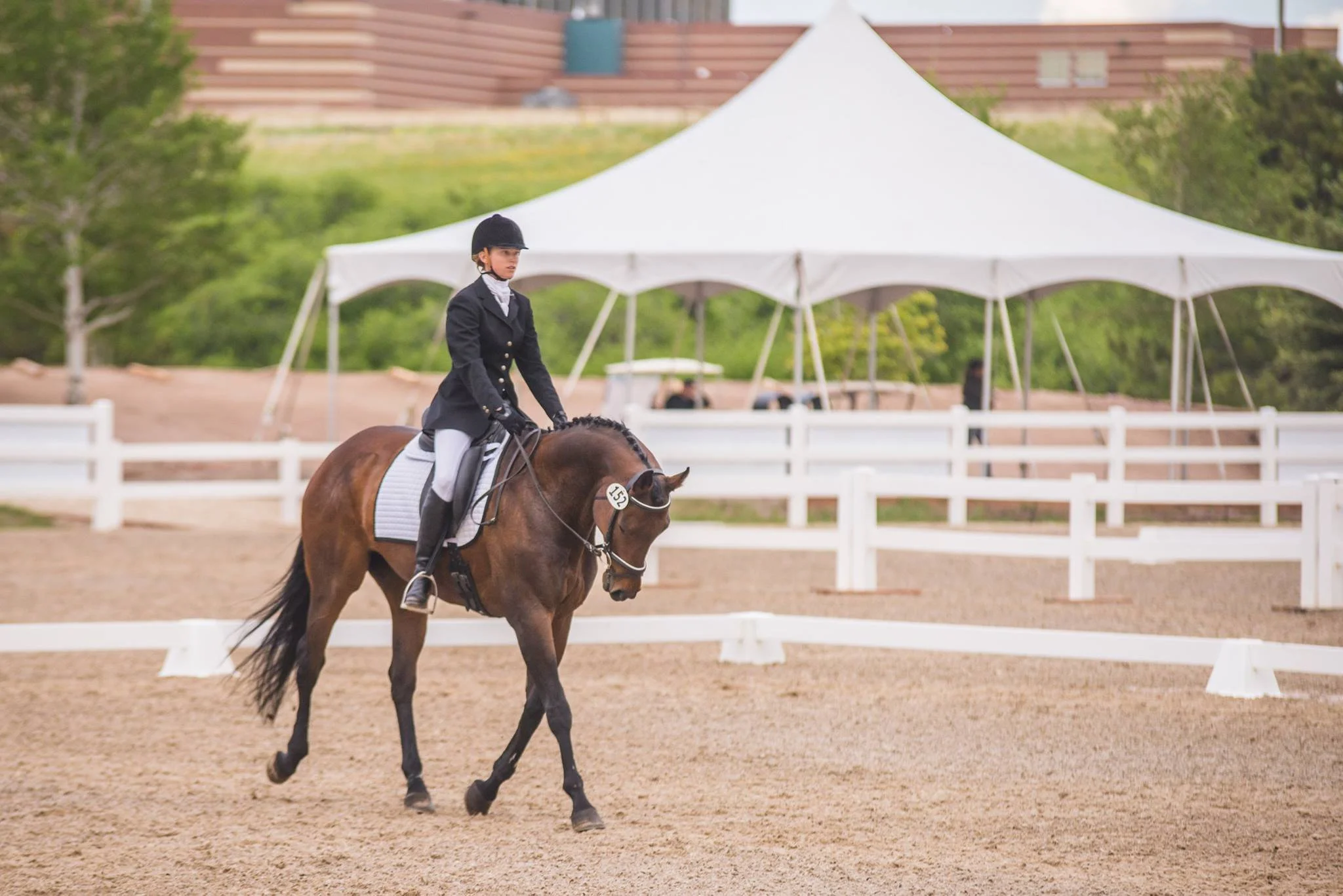 Triple Creek Dressage Show 