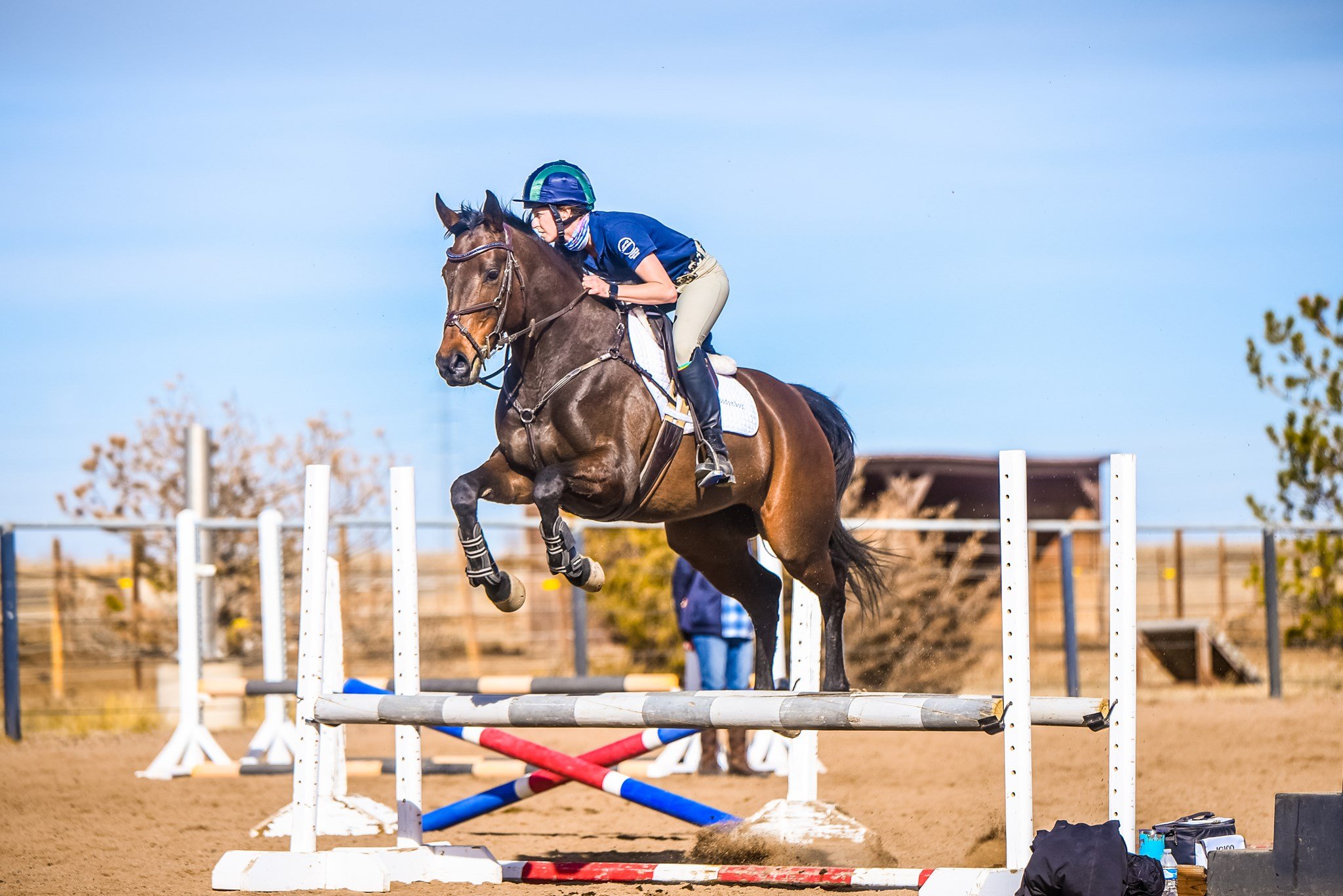   Integrative Equestrian Services    In Boulder County, Colorado    Learn More  