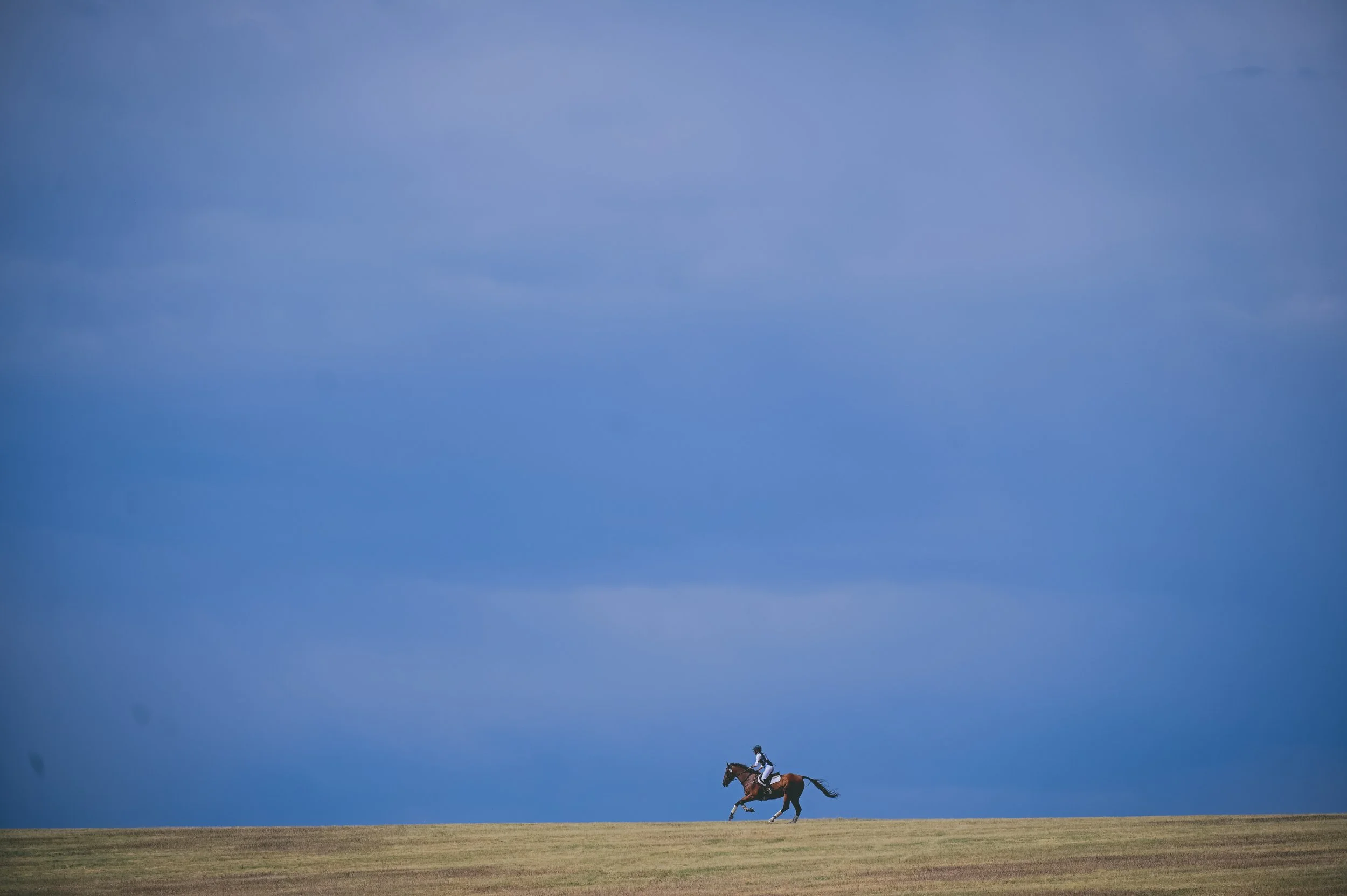   Integrative Equestrian Services    In Boulder County, Colorado    Learn More  