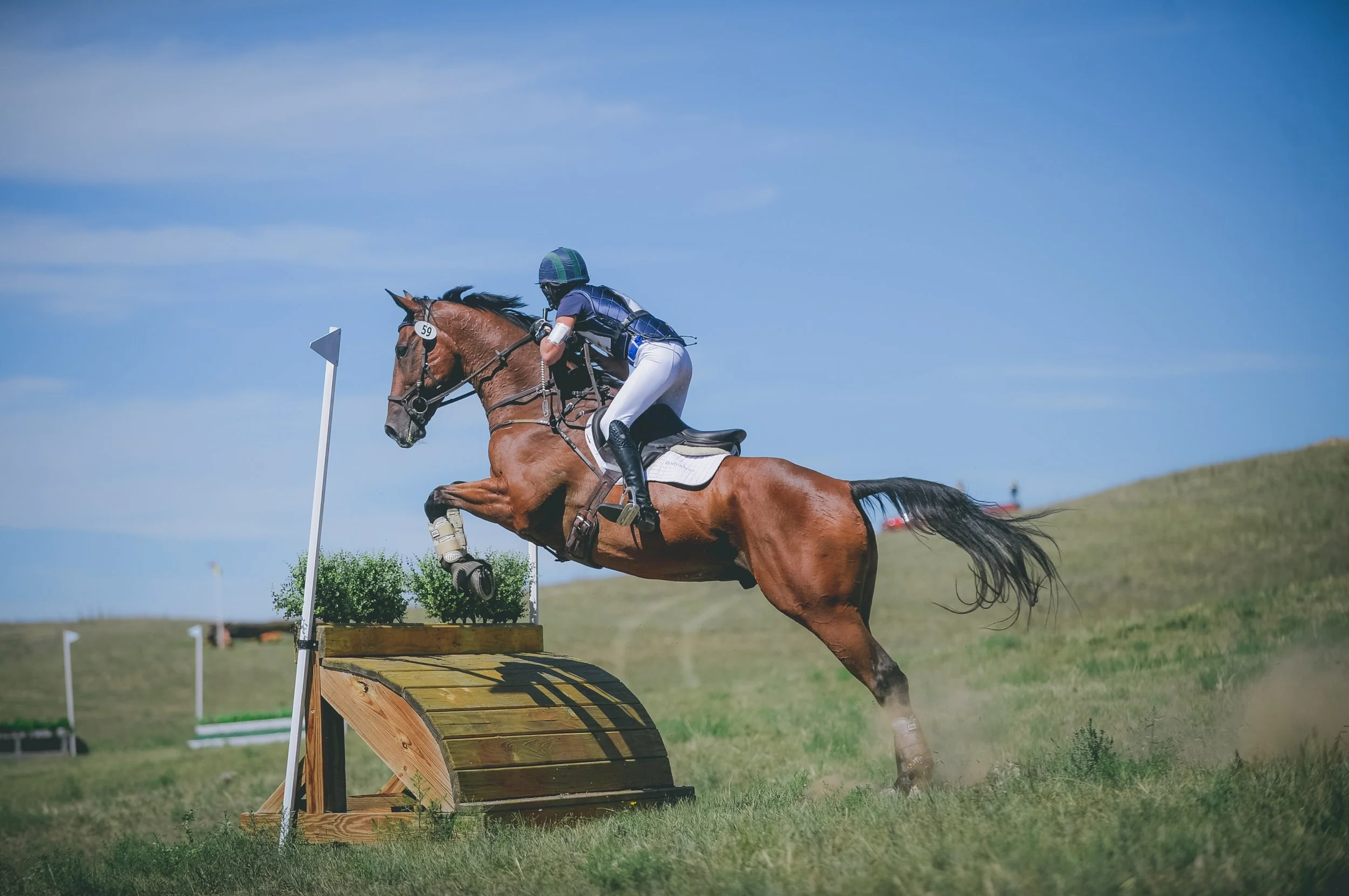   Integrative Equestrian Services    In Boulder County, Colorado    Learn More  