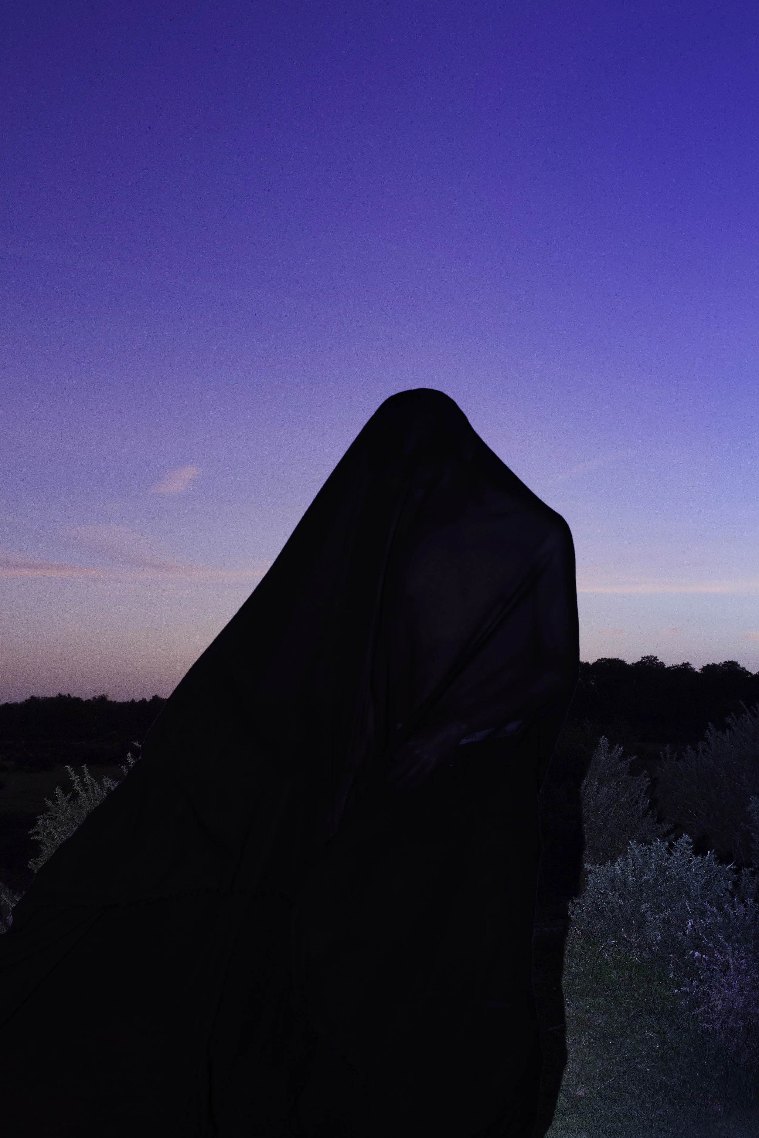 ‘Nocturnal Stories’ 2018