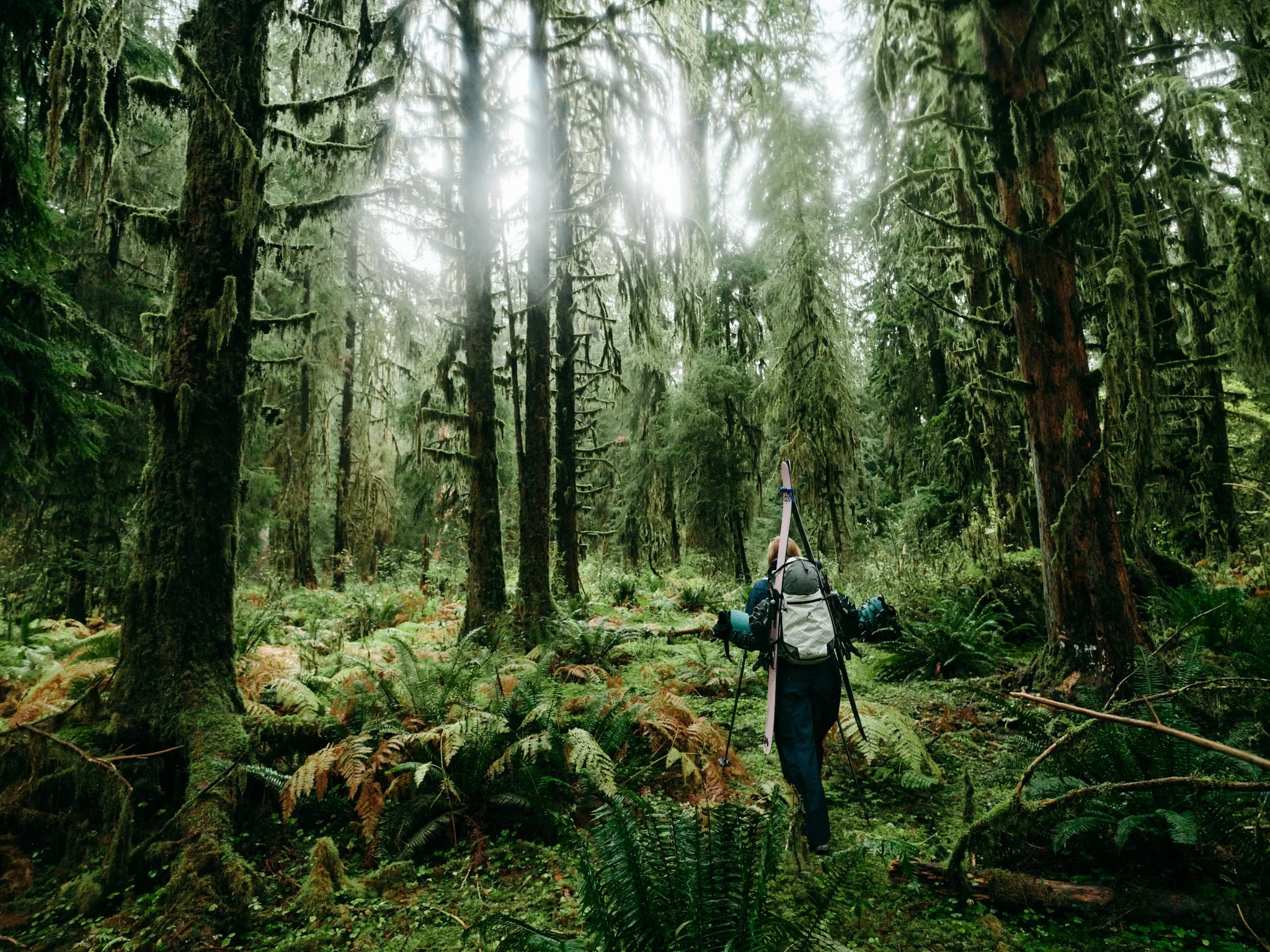 Seniq Ski Kit_Rain Forest 15.jpg