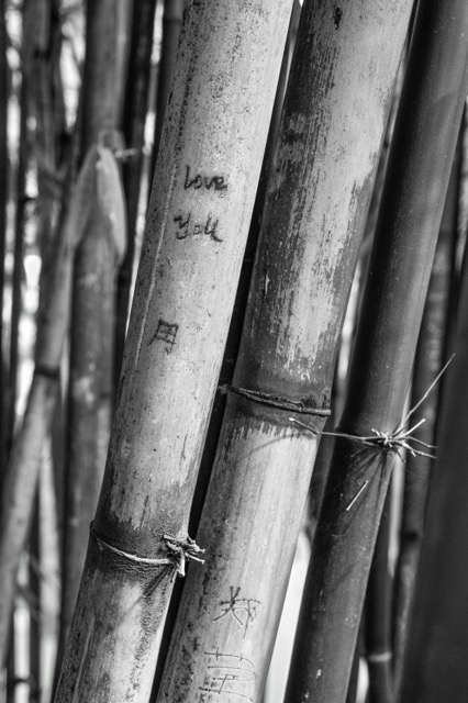 _DSC4401_1833.jpeg