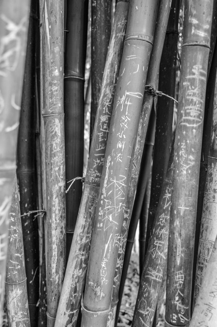 _DSC4382_1878.jpeg
