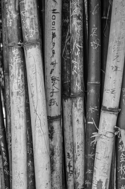 _DSC4376_1875.jpeg