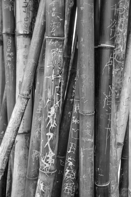 _DSC4336_1854.jpeg