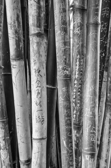 _DSC4333_1853.jpeg