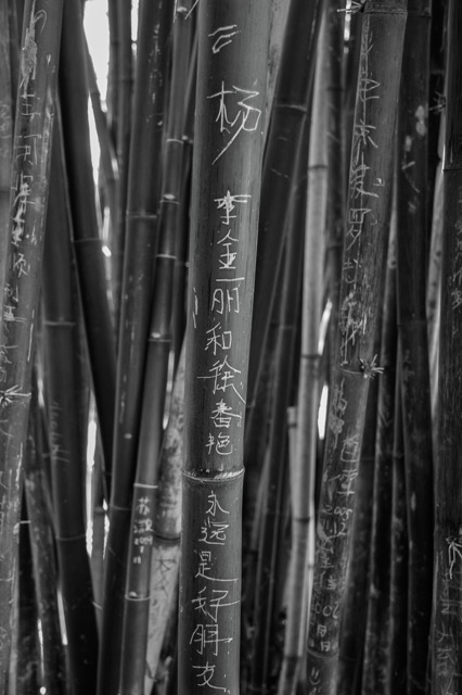_DSC4441_1835.jpeg