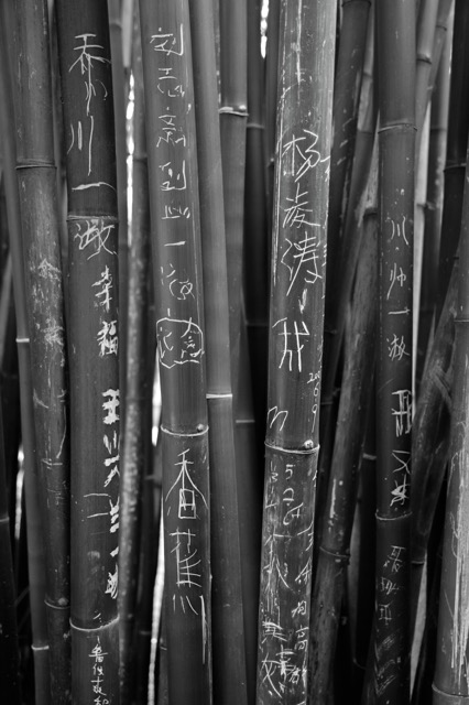 _DSC4432_1849.jpeg