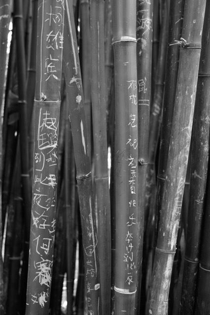 _DSC4430_1848.jpeg