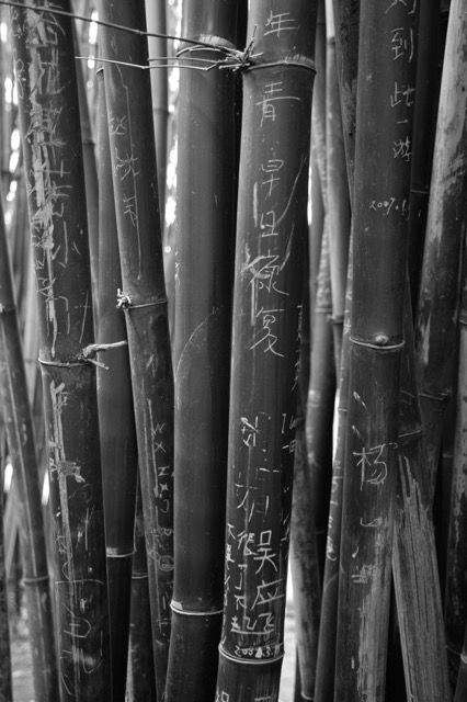 _DSC4427_1846.jpeg