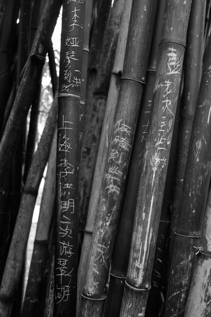 _DSC4424_1845.jpeg