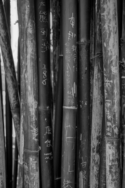 _DSC4363_1887.jpeg