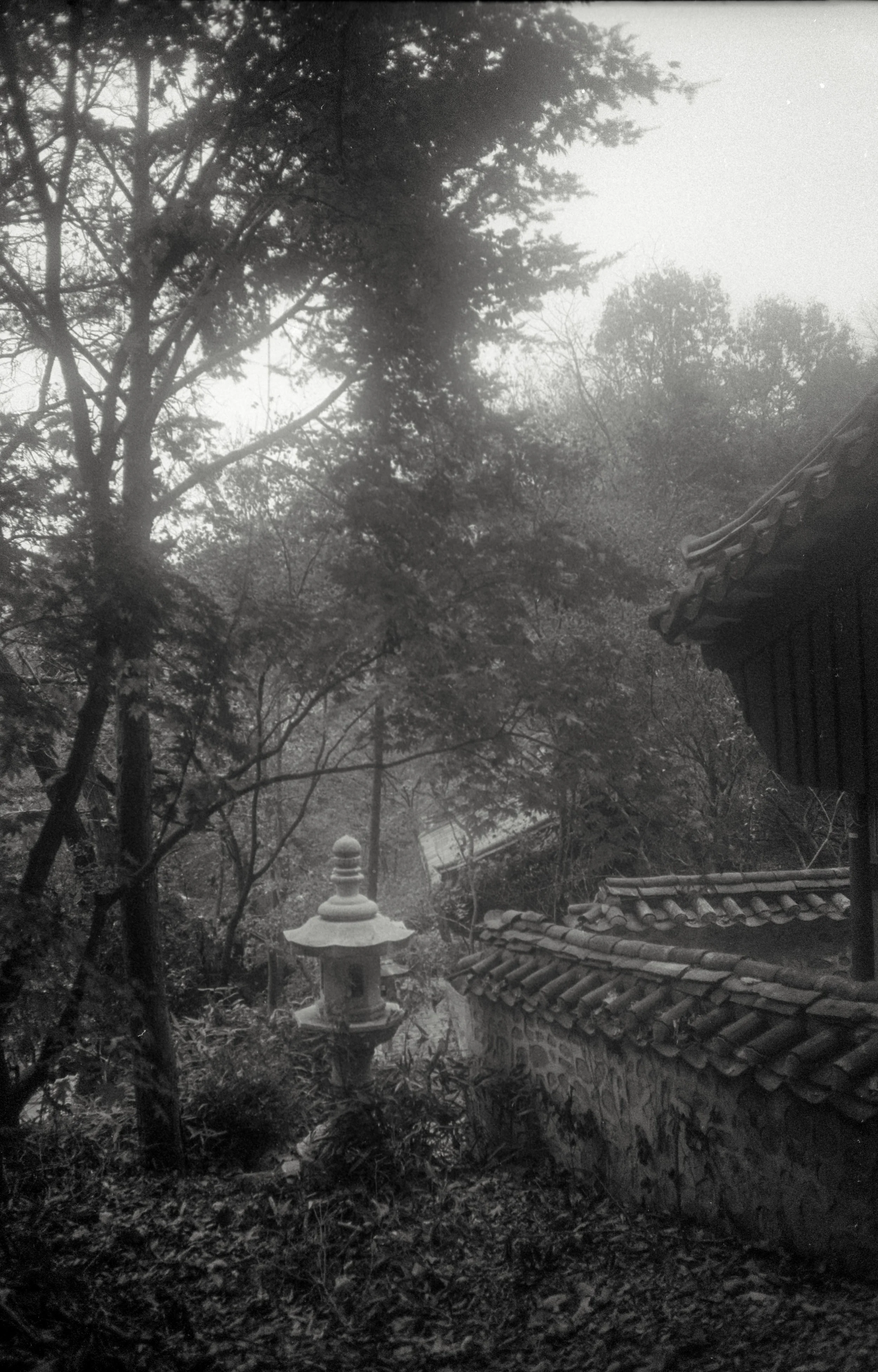 Scan-130524-0087.jpg