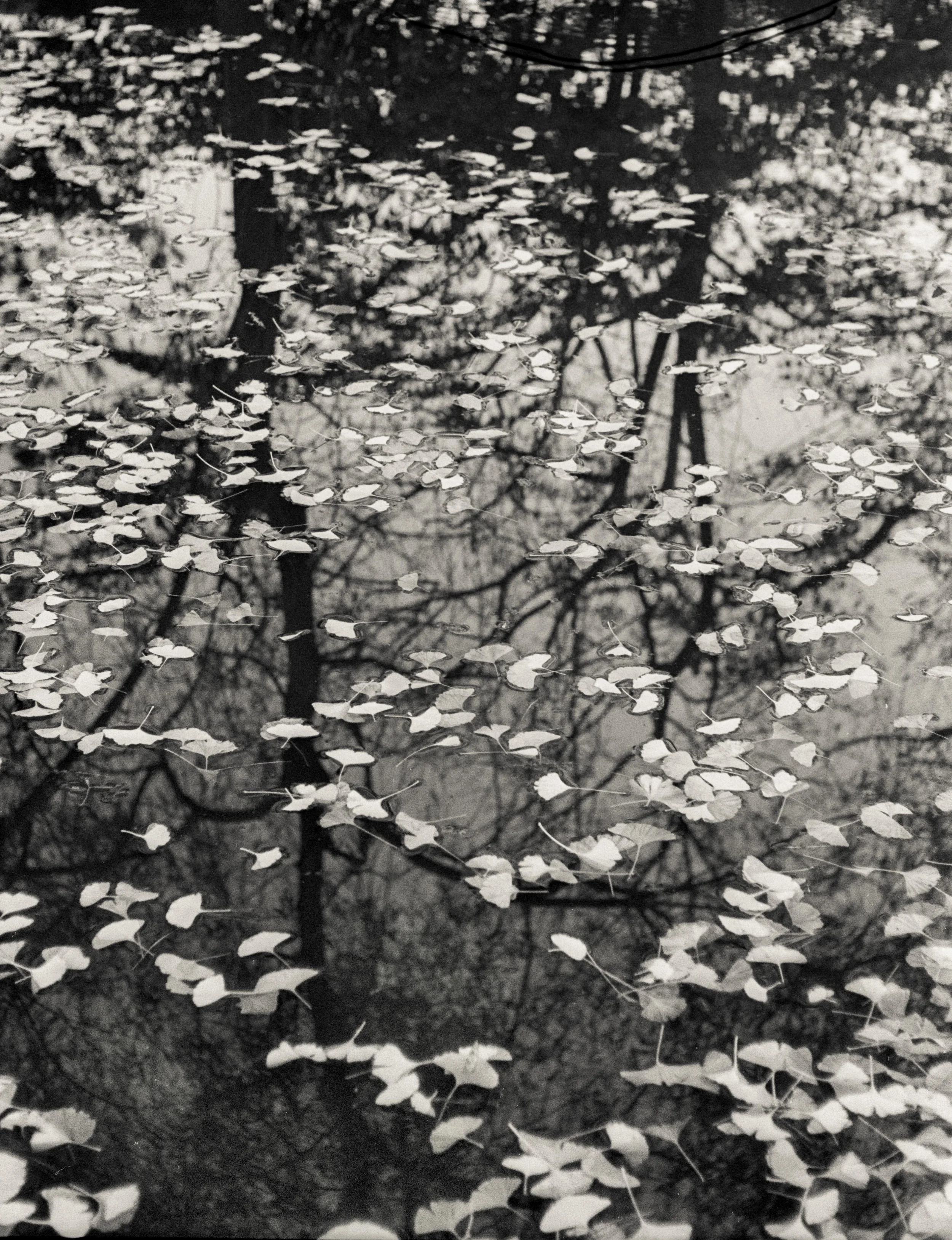 Scan-130524-0072.jpg