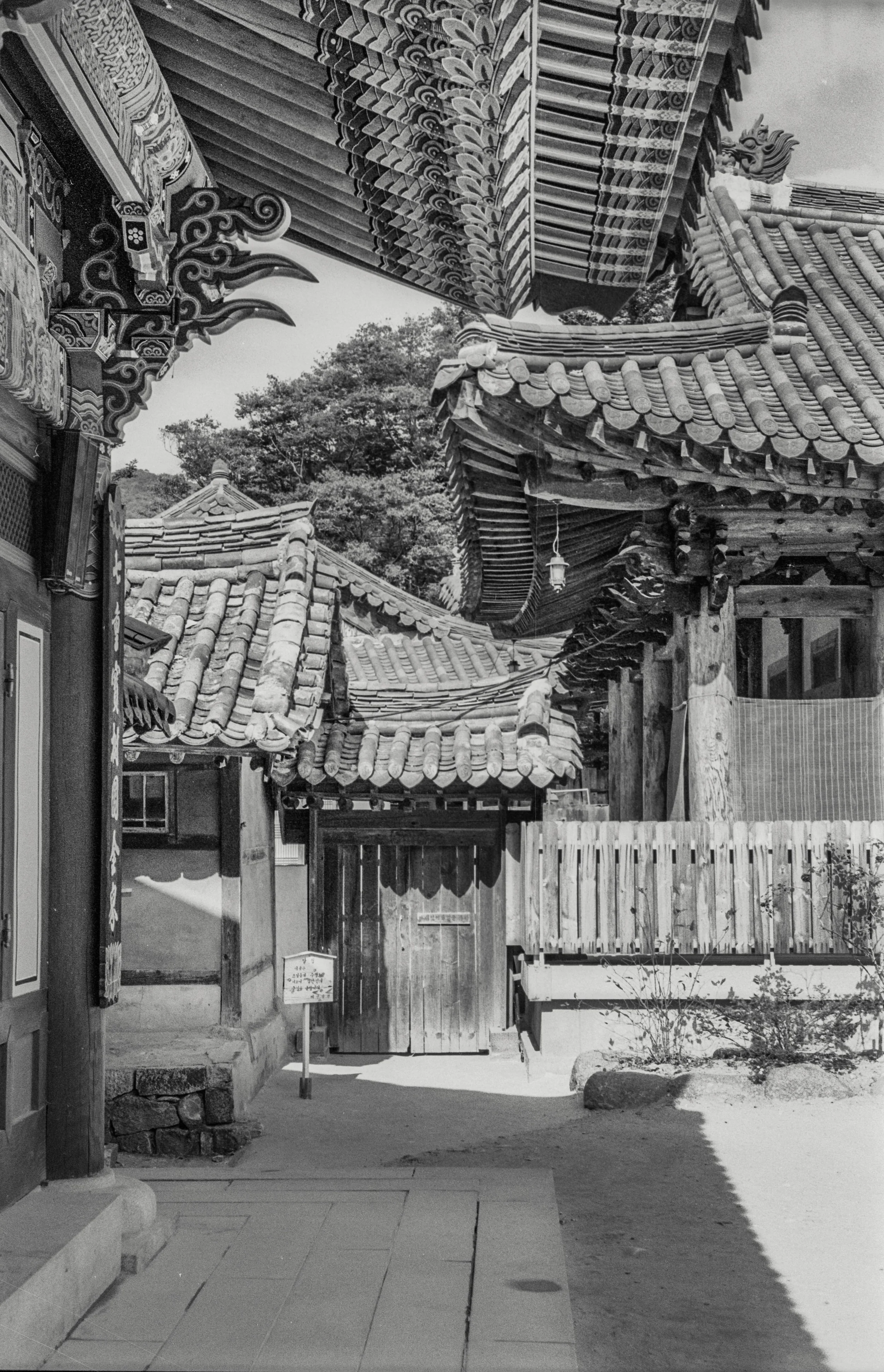 Scan-130524-0218-2.jpg