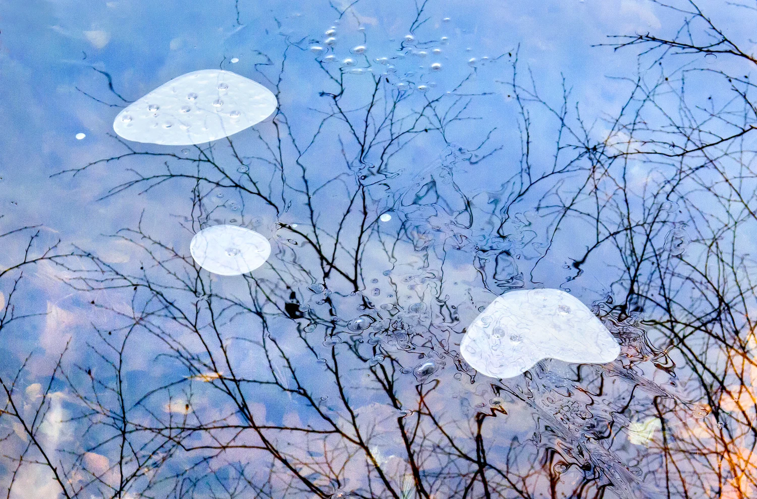Pond Ice Ashland State Park