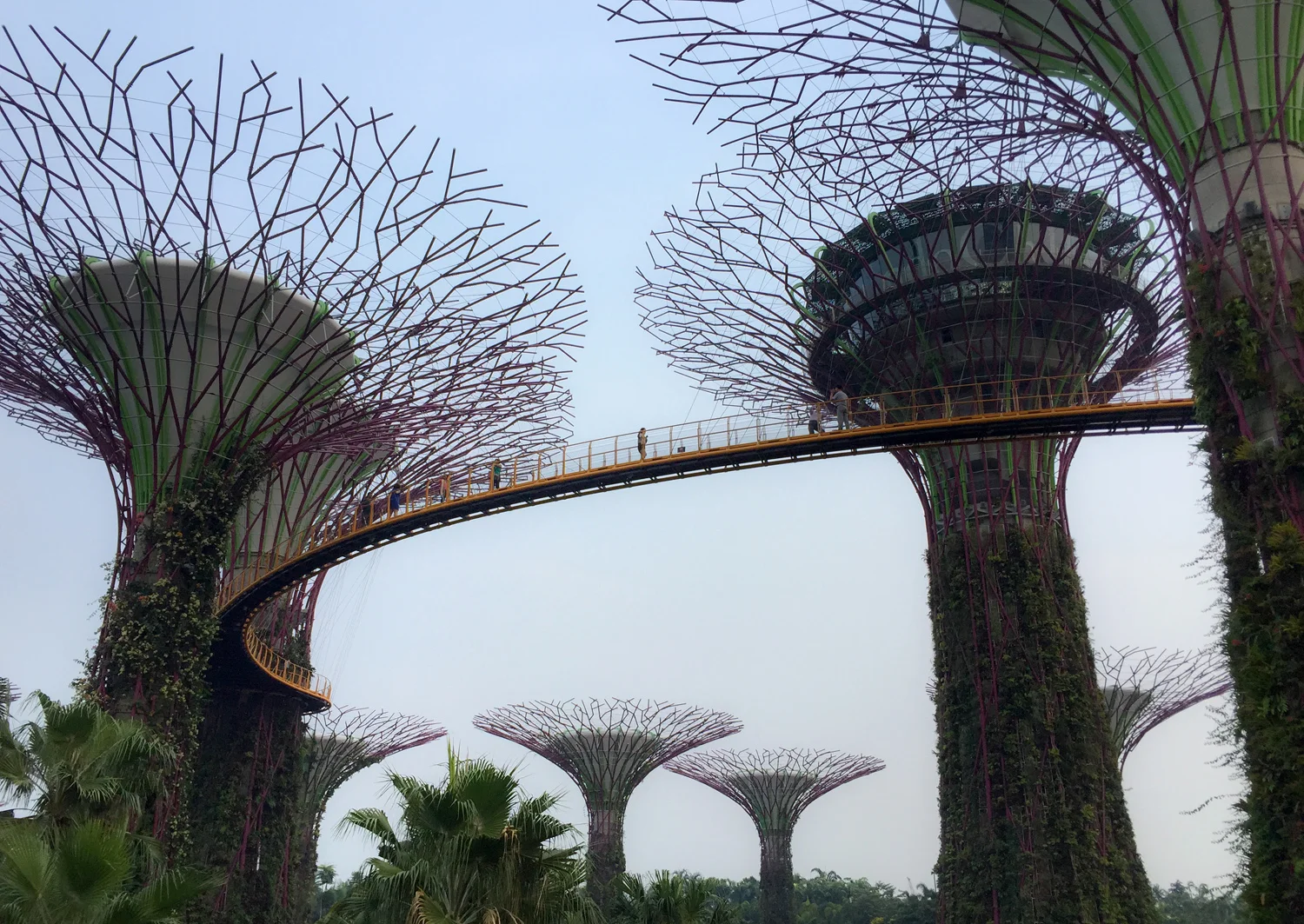 Functional, artificial trees at the Gardens by the Bay