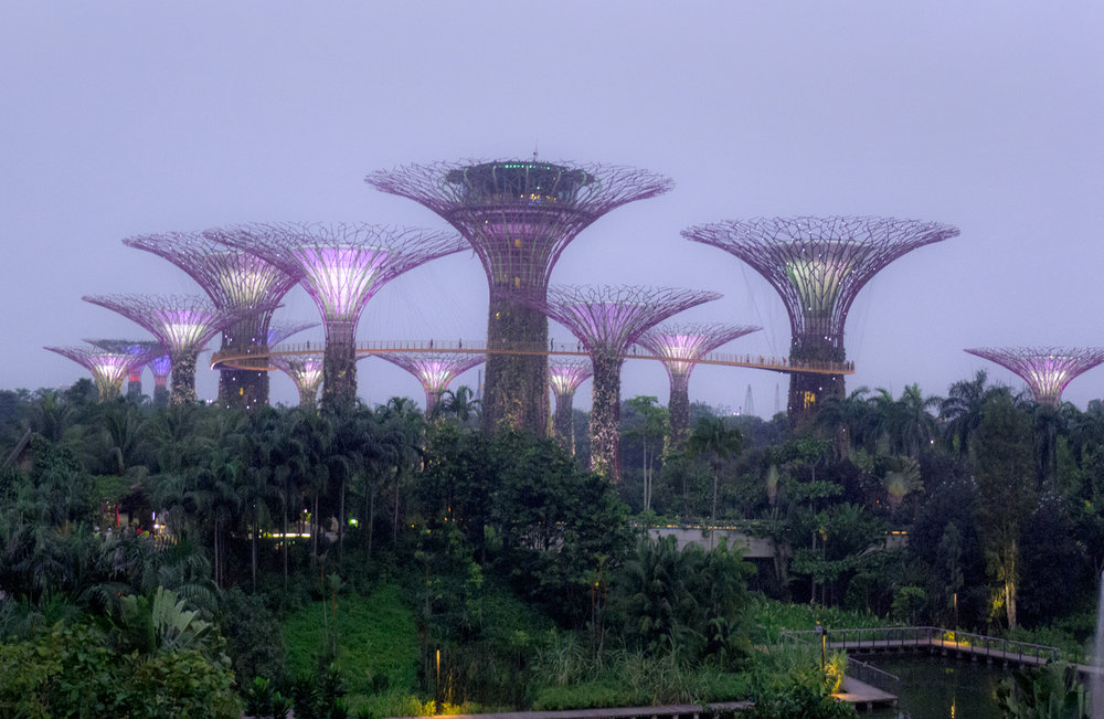 Super Tree Grove at Gardens by the Bay