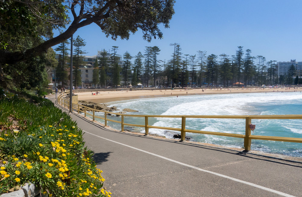  Between Manly and Shelly beaches 