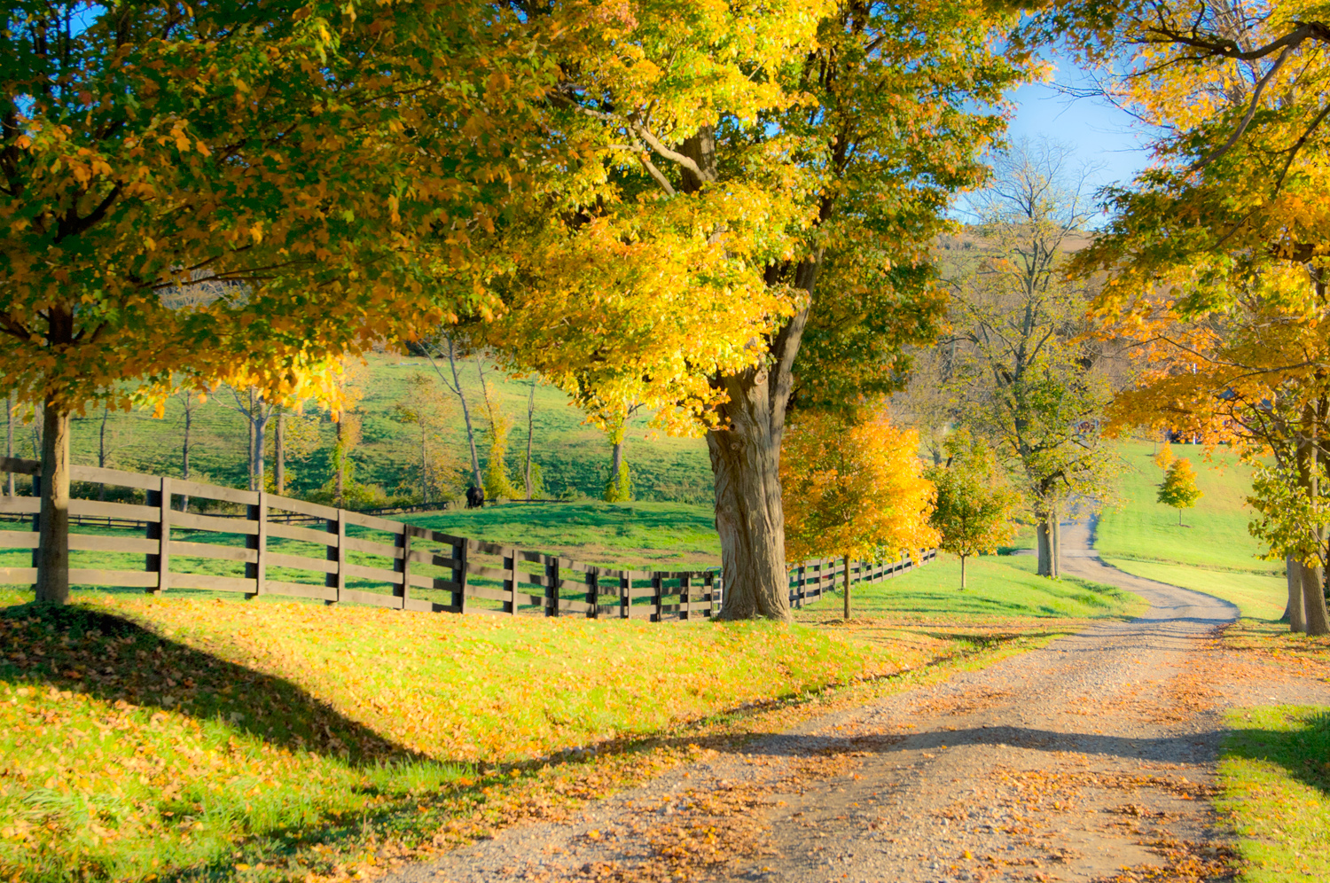 Country Road Duchess County NY