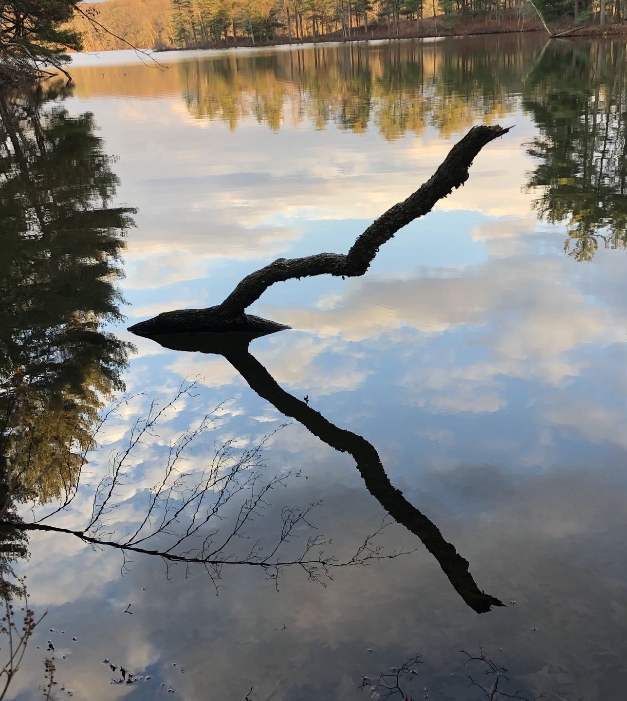 Post holiday walk at Ashland State Park.  #reflection  #water  #fineartphotography  #ashlandstatepark