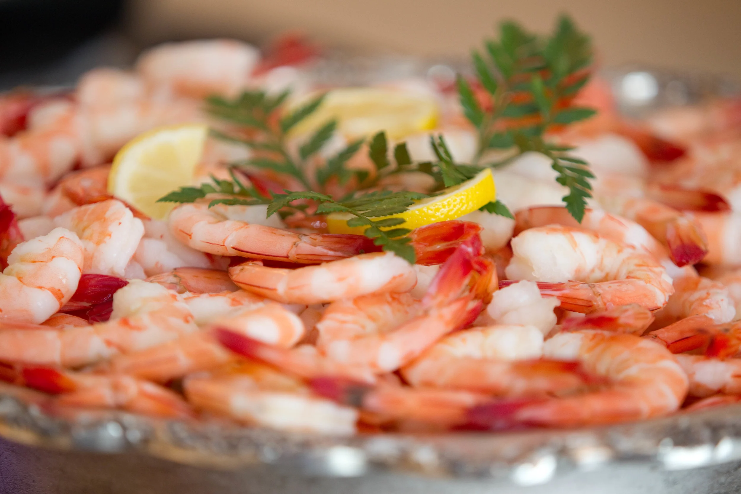 shrimp.jpg
