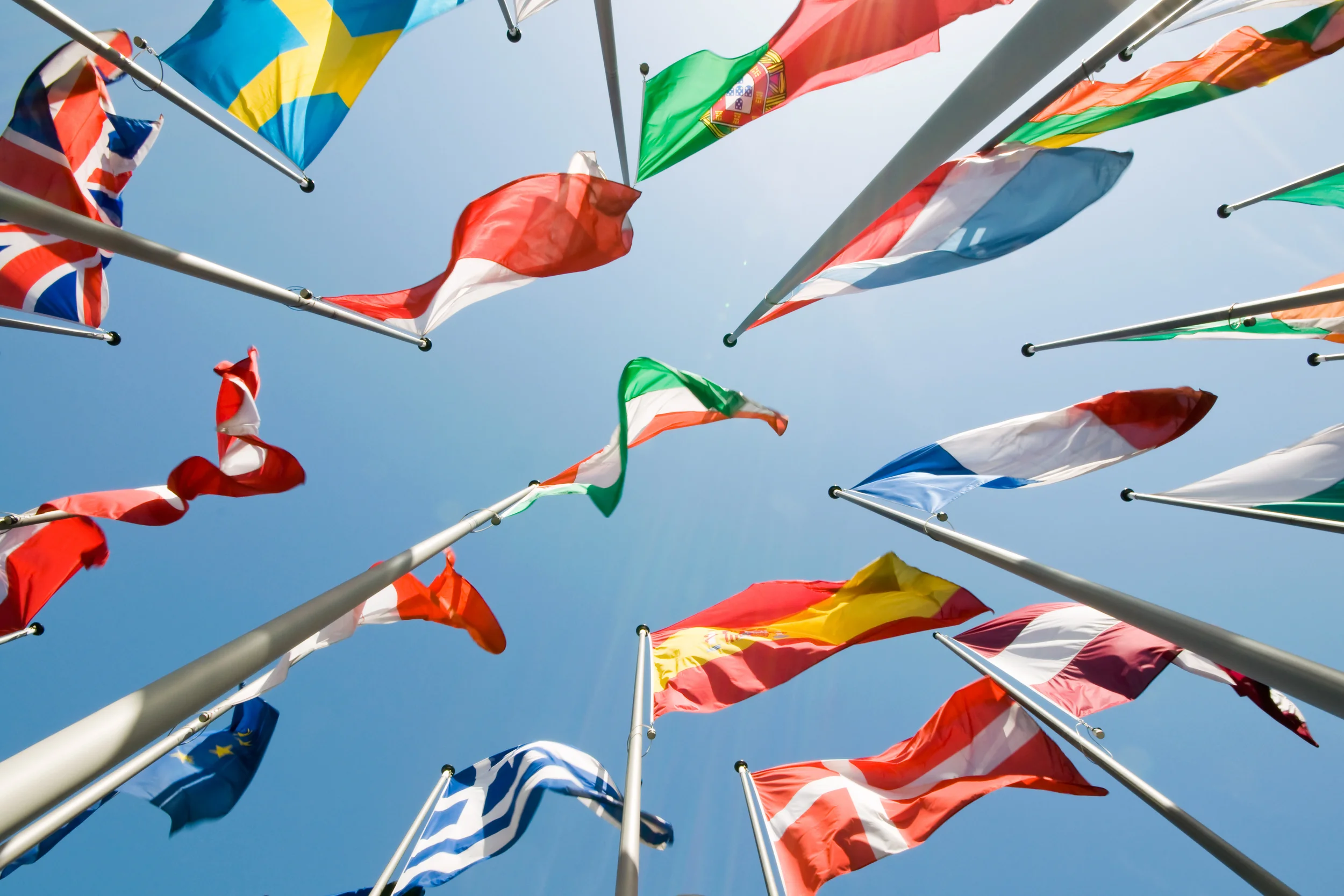 Bridging Distance and Embracing Diversity