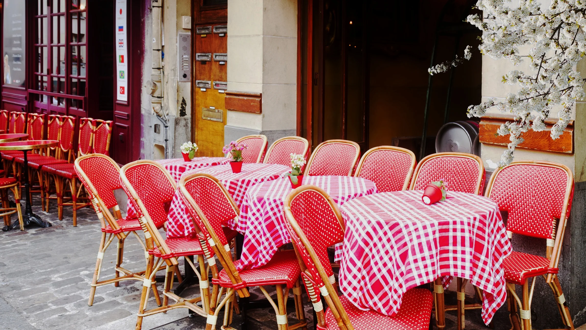  ¿QUÉ TIENE QUE HACER UN CAFÉ FRANCÉS CON ROMPER SUS LIMITACIONES?