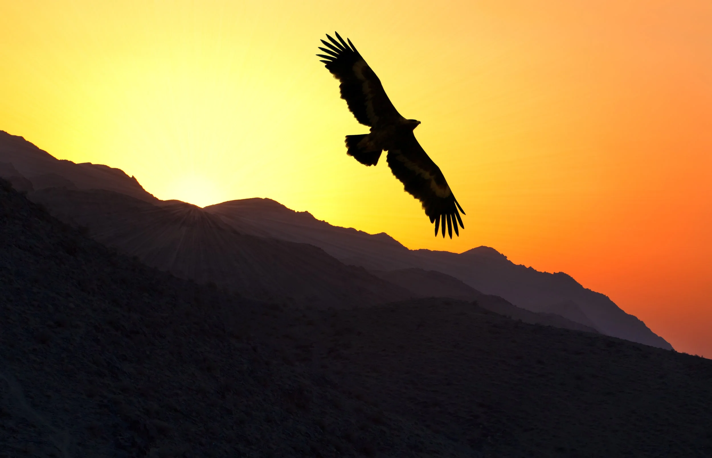 "Every Eagle Needs a Push"