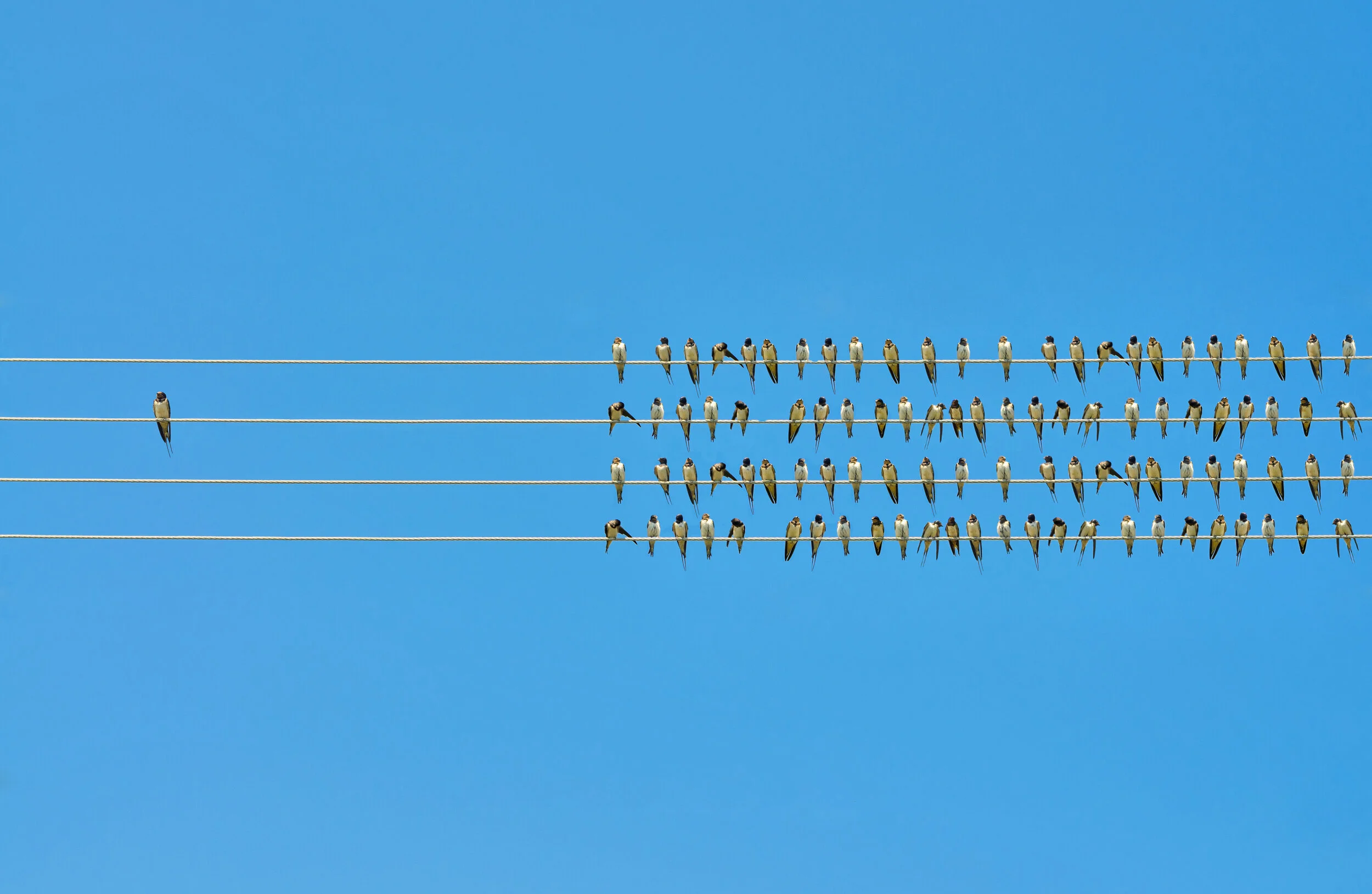 WE ALL HAVE UNCONSCIOUS BIASES