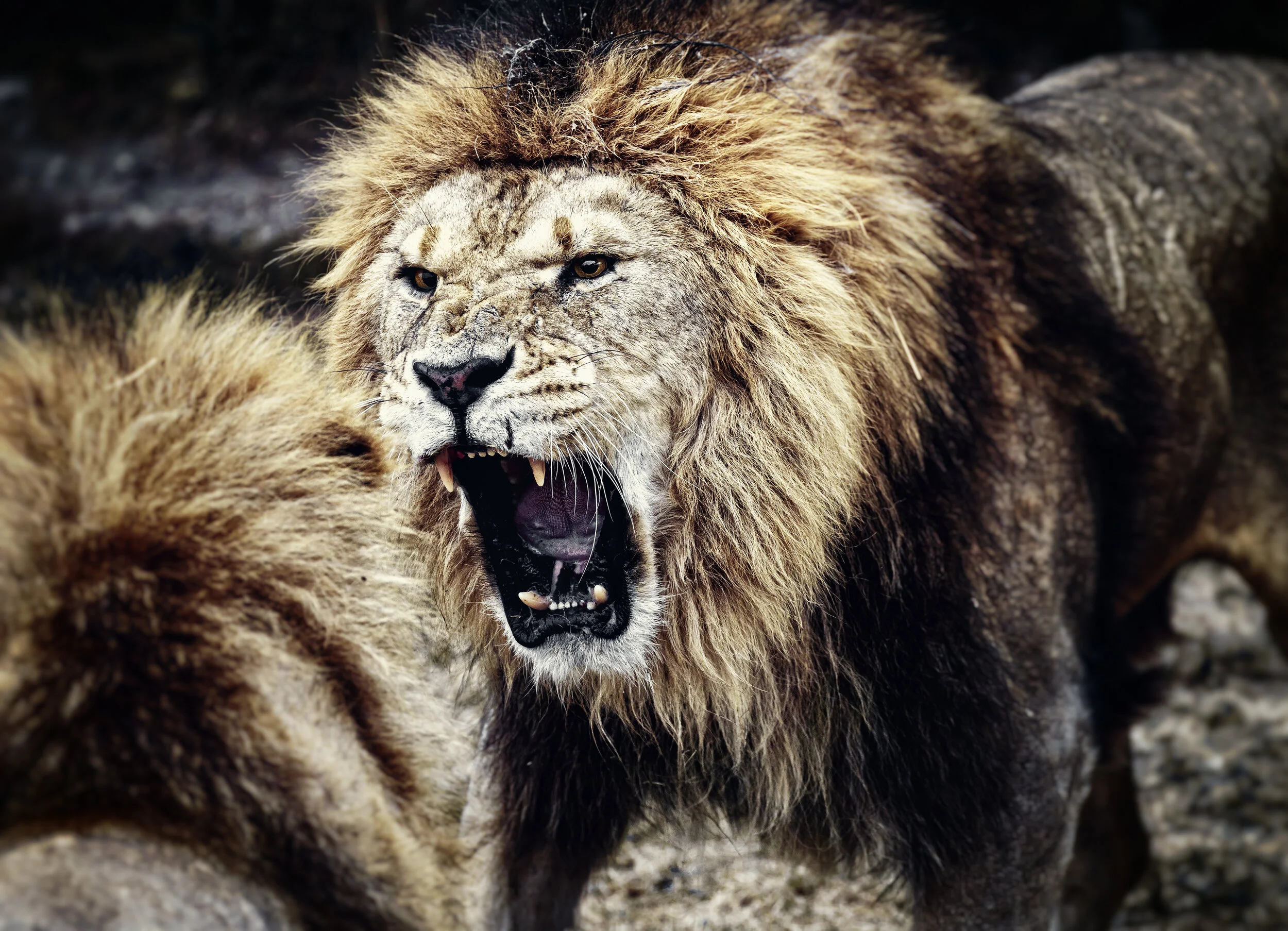The Customer is NOT Always Right