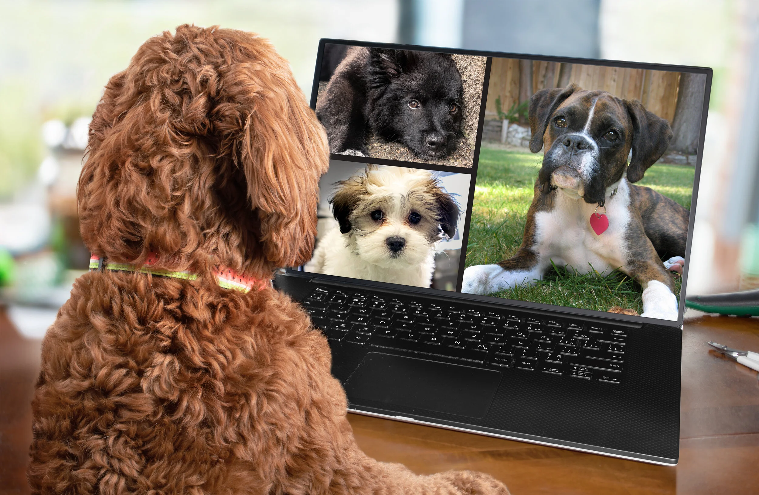 7 Virtual Team-Building Activities