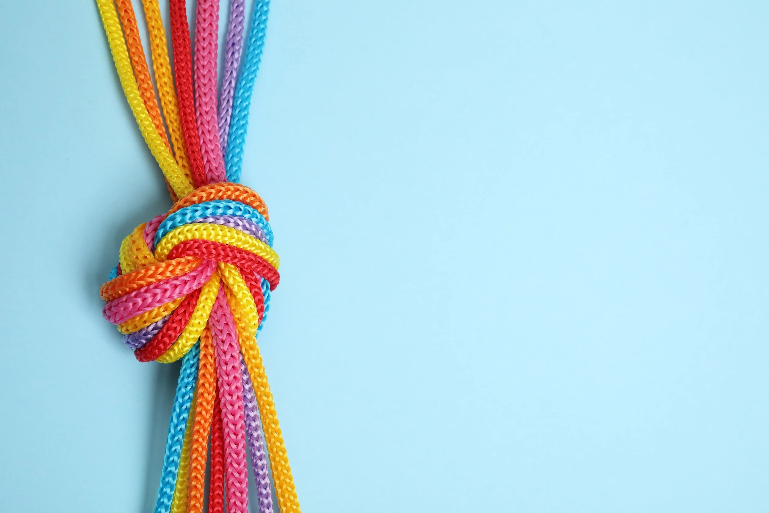 DEI Anecdotes: The Connections We Share
