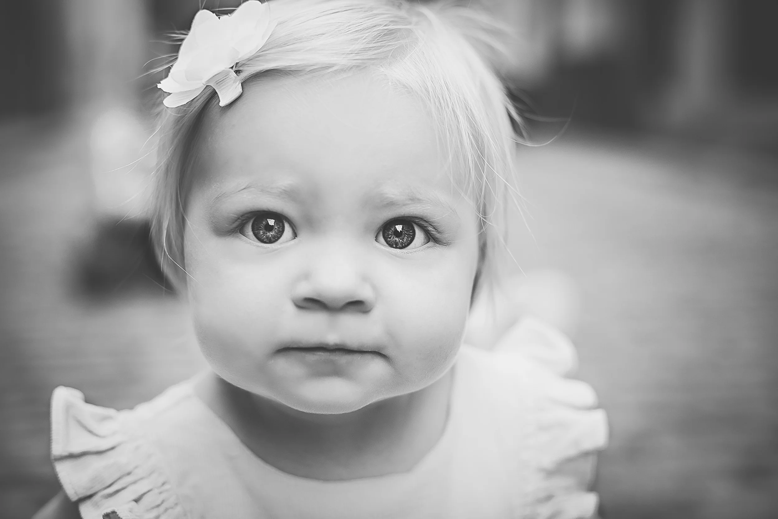 DSC_1072-Edit-Edit.jpg
