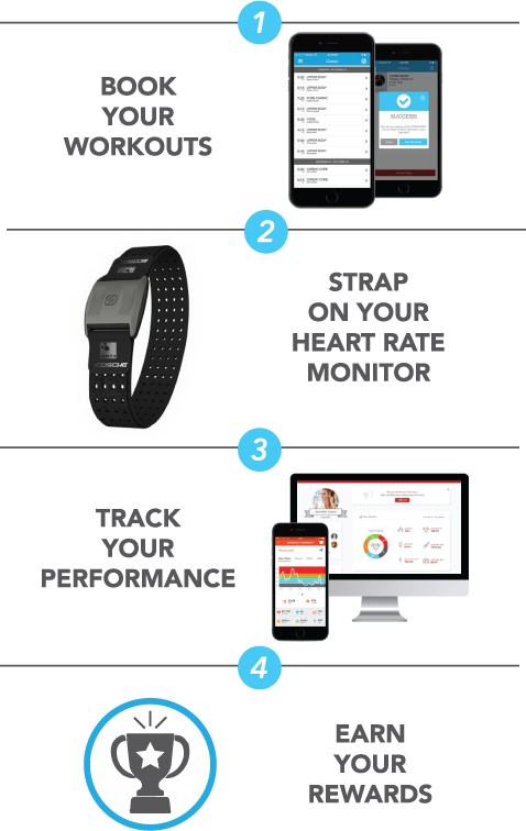 6-week-challenge-components.png