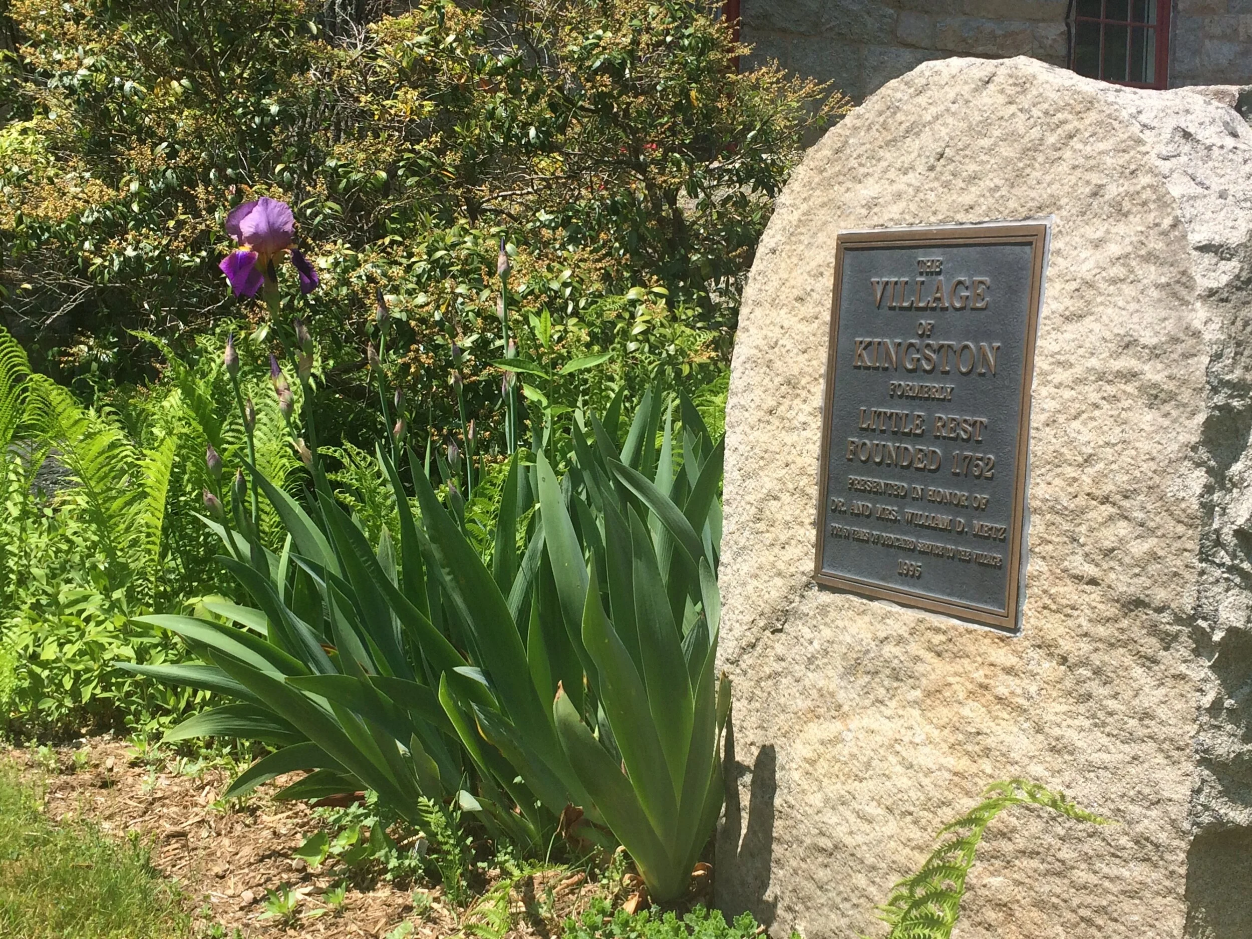 IMG_3816.JPG