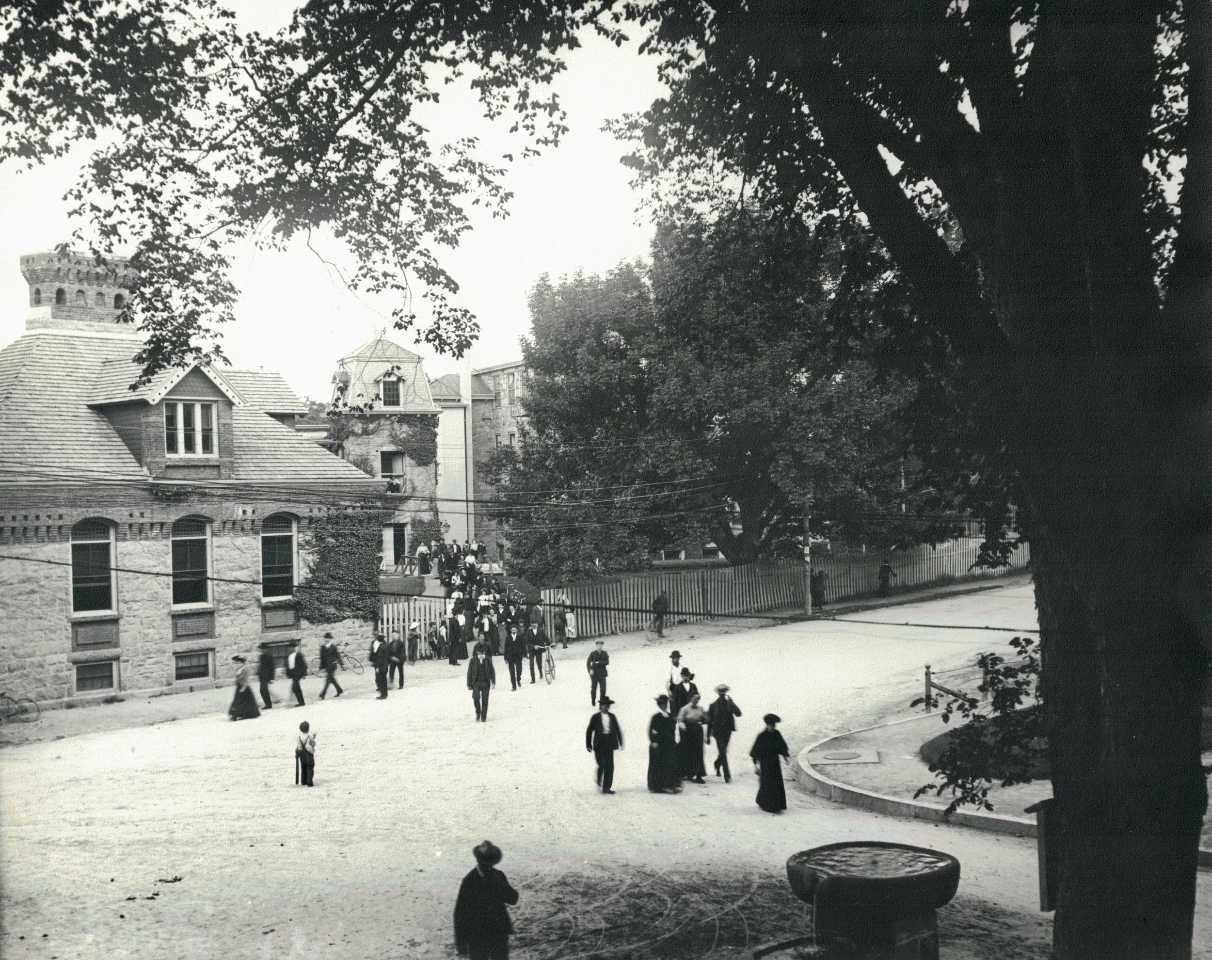 Aristocracy 1 - PD Mill.jpeg