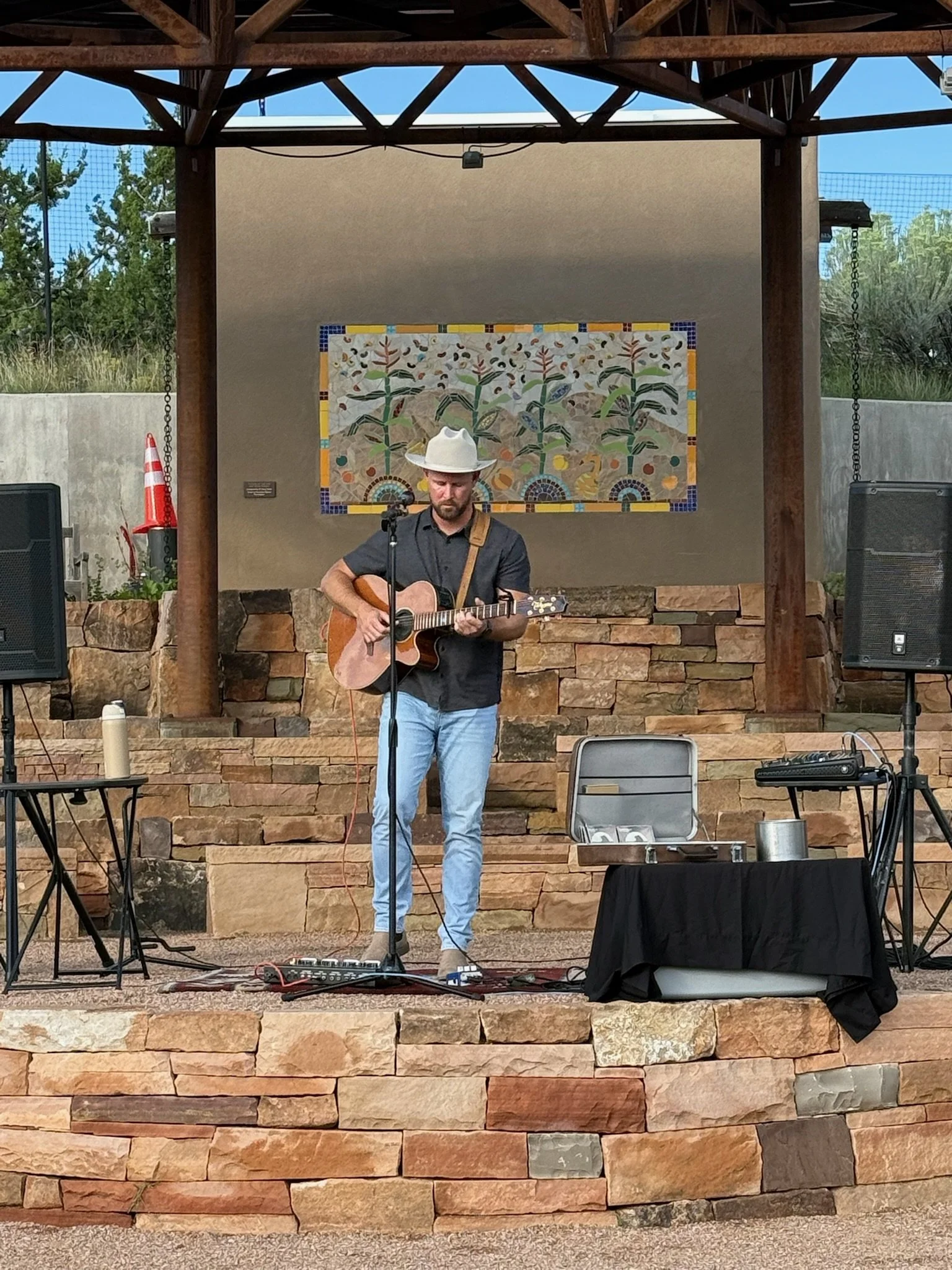 SHANE WALLIN LIVE 2.jpeg