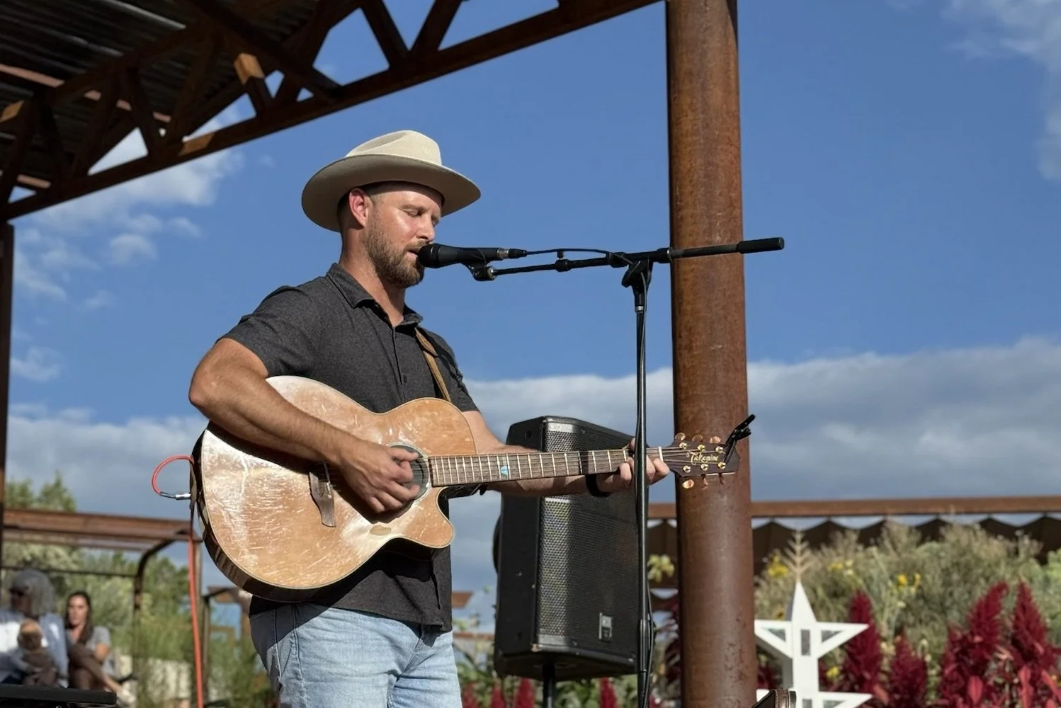 SHANE WALLIN LIVE 5.JPG