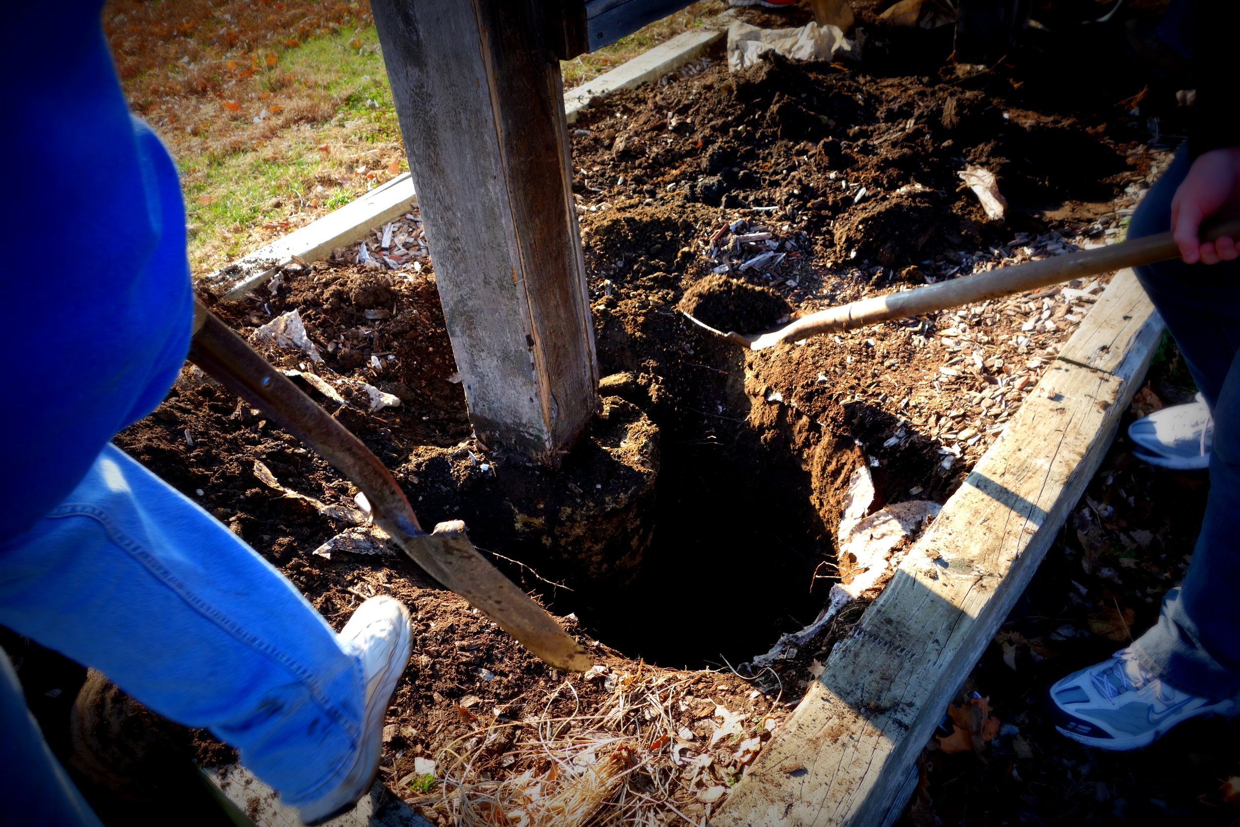 digging.jpg