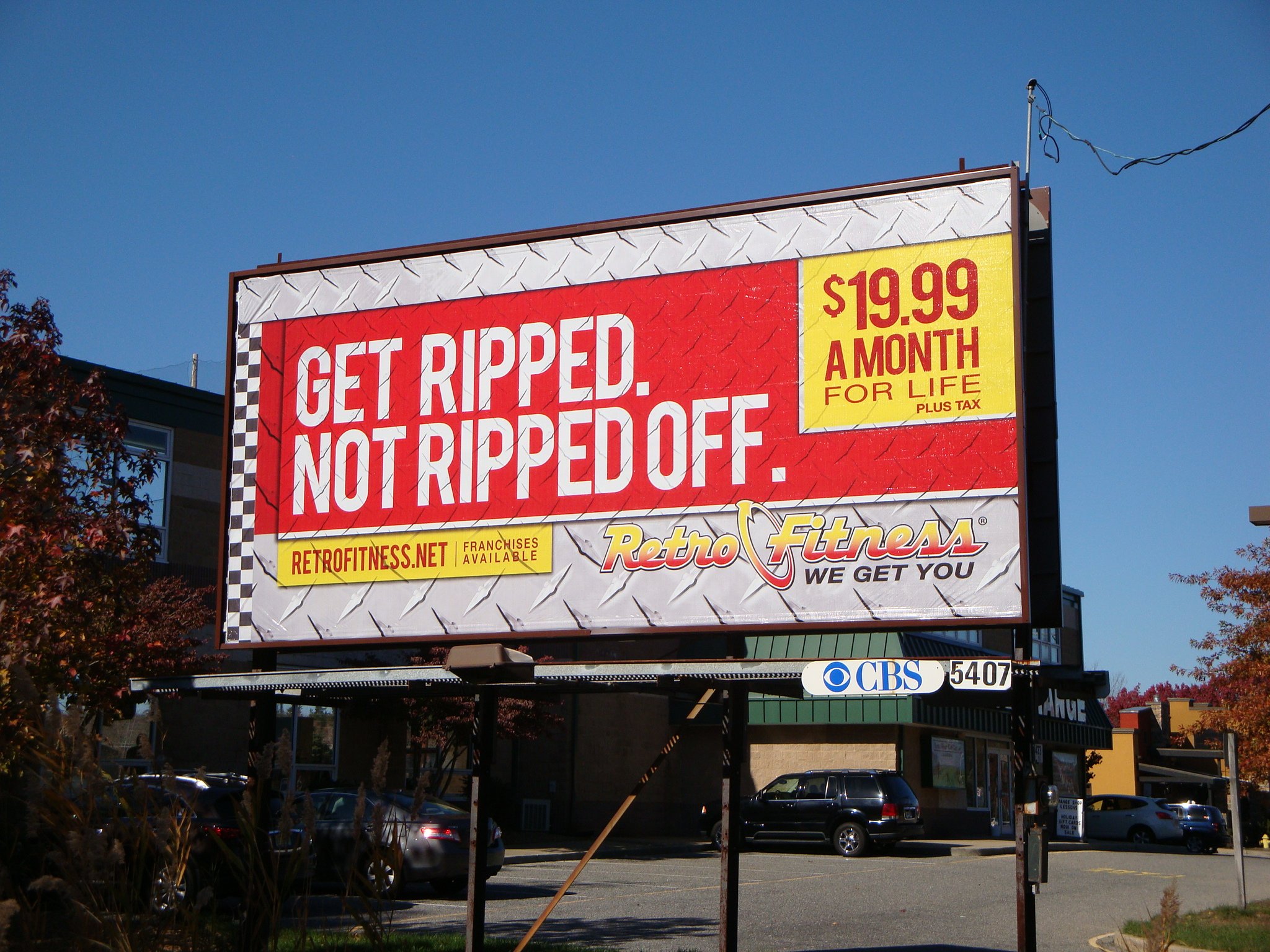 brick fischer -2 copy.JPG