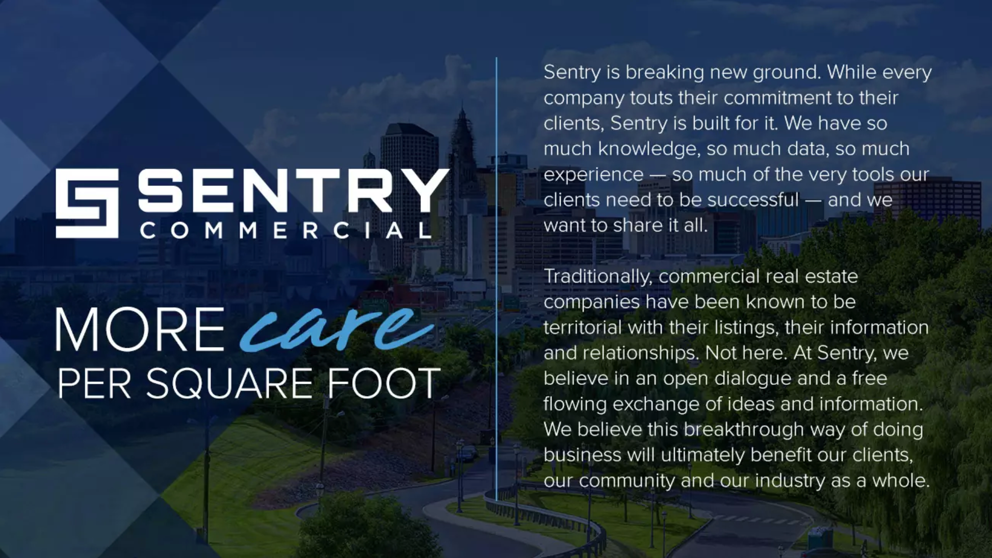 Sentry Commercial Brand Position.png