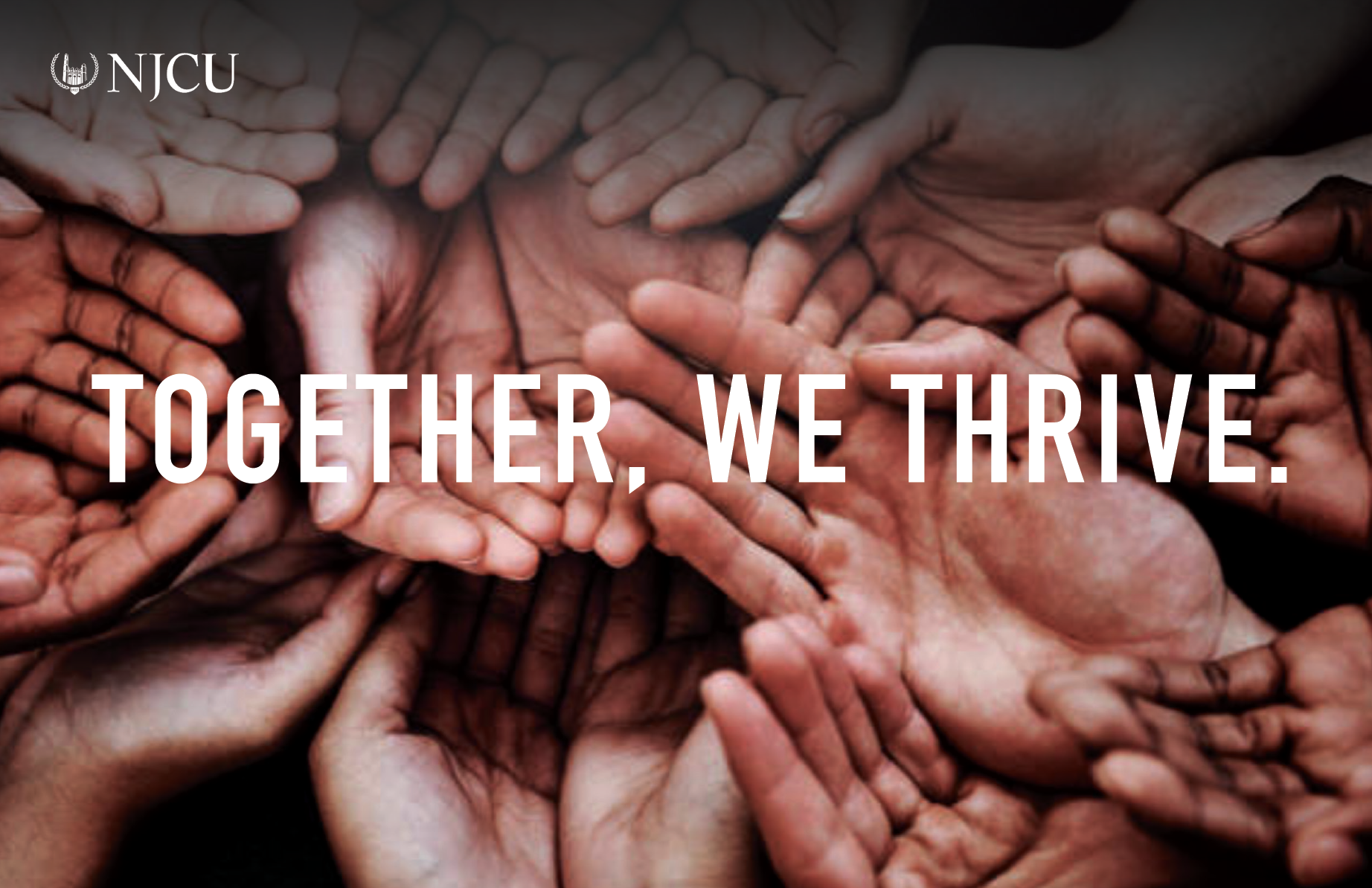 Screen Shot 2022-12-19 at 5.13.31 PM.png