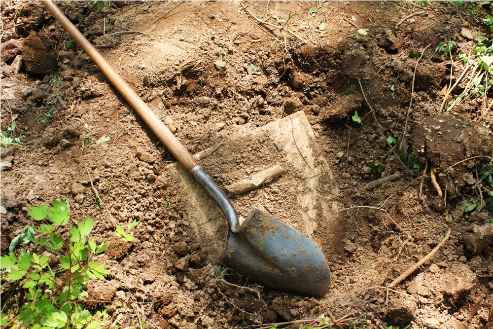 Unearthing the treasure.