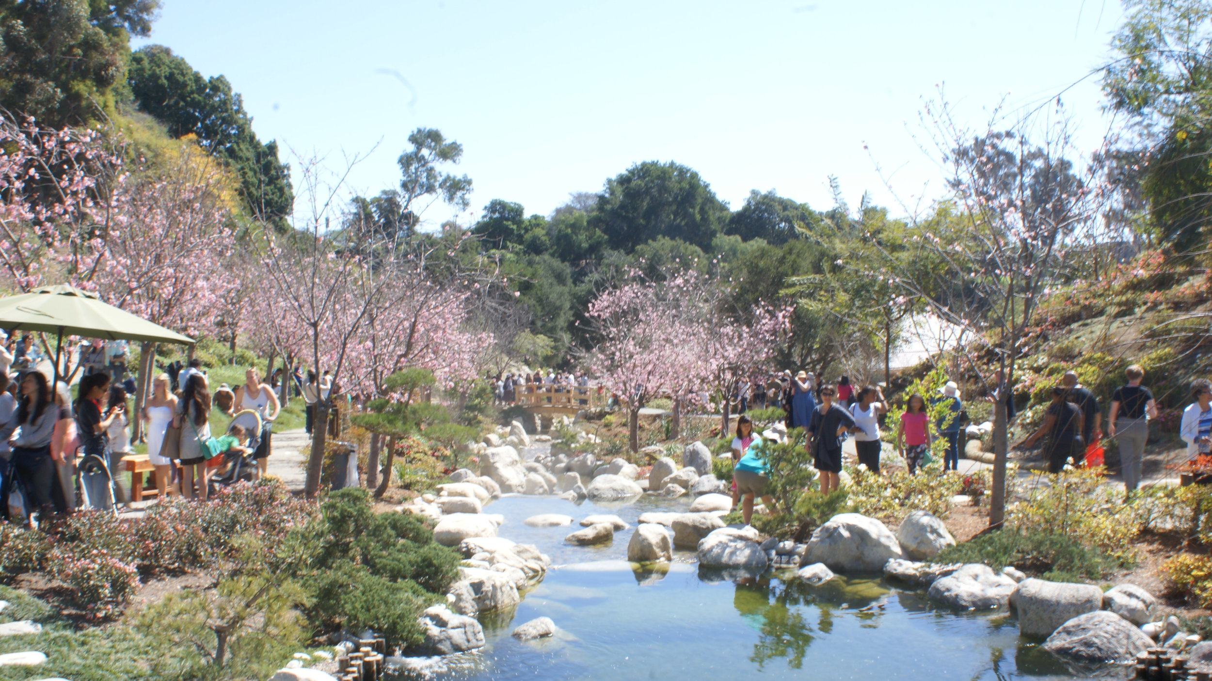 Memberships Japanese Friendship Garden