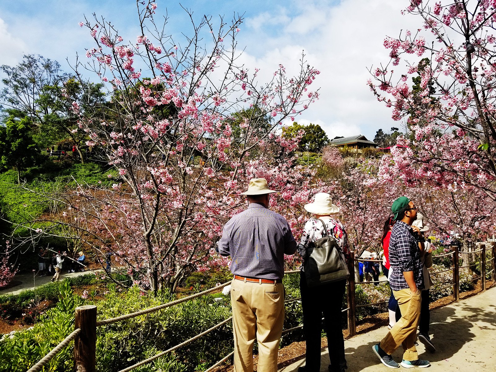 Japaneses Friendship Garden_March 2019_Credit - Jon Lardizabal.jpg
