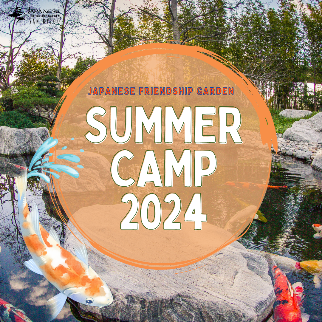 Summer Camp June-July 2024