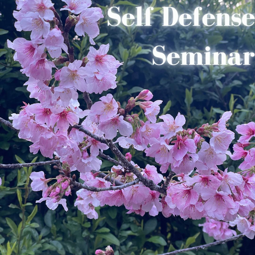 Self Defense Workshop 6/15